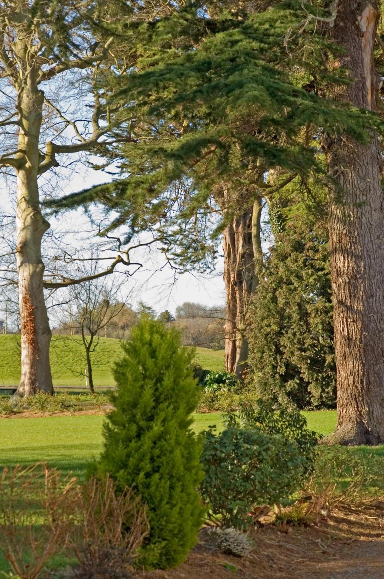 Roganstown Hotel & Country Club Swords Exterior foto
