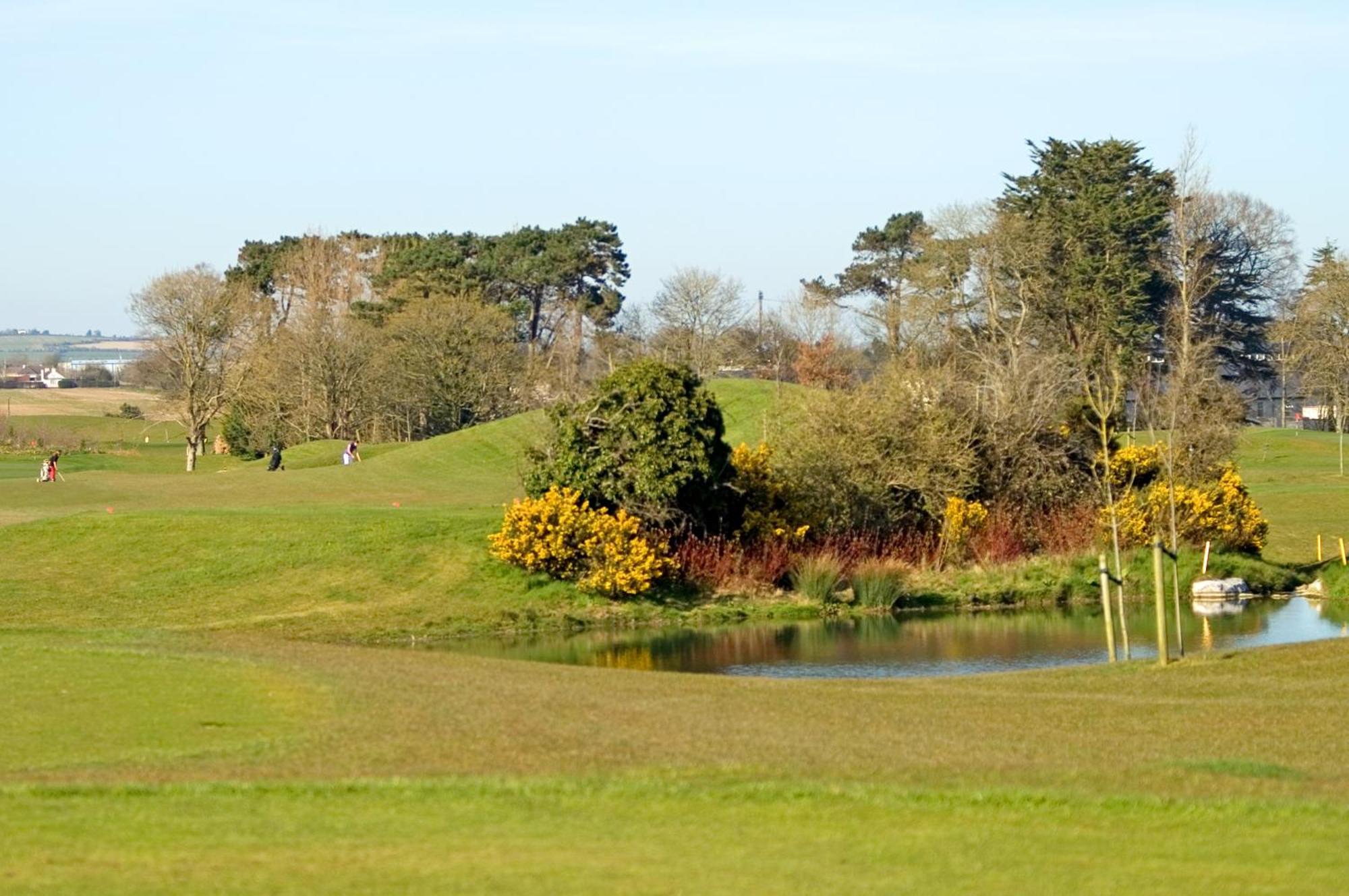 Roganstown Hotel & Country Club Swords Exterior foto