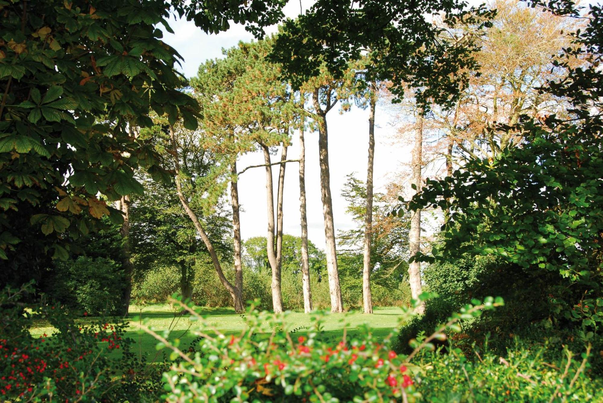 Roganstown Hotel & Country Club Swords Exterior foto